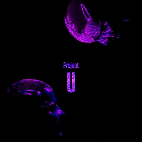 u