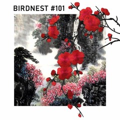 BIRDNEST #101 / The Origin of Species