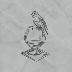 Something can be everything