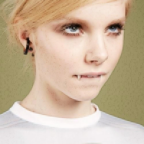 did no fraud (prod. pack9)