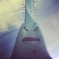 Inspector telepolis.