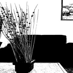 Cielo Kiddraku & BROK3´N