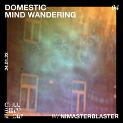 Domestic Mind Wandering w/ Nimasterblaster 24.01.2023