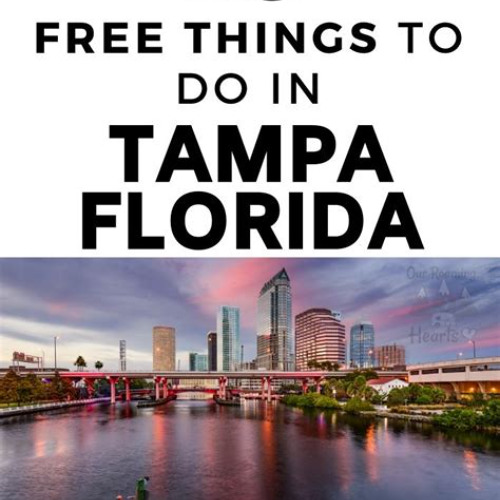 Best Things To Do In Tampa For Adults This Weekend Tours Reviews