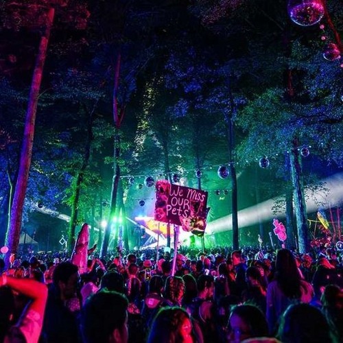The Roots - Seed 2.0 (ELVI$ Remix)