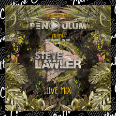 Steve Lawler | Live @ PENDULUM, Miami | 1st March 2025