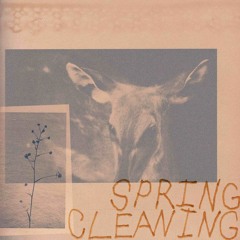 Spring Cleaning