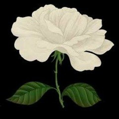 For The Lover That I Lost - Sam Smith (ztyr Remix)