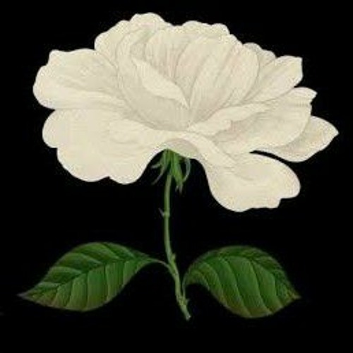 For The Lover That I Lost - Sam Smith (ztyr Remix)