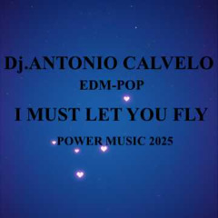 I MUST LET YOU FLY(mastered)