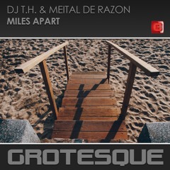 DJ T.H. & Meital De Razon - Miles Apart