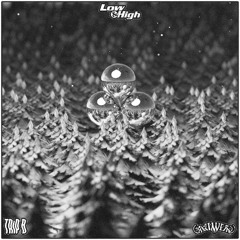 GRIMWERX X TRIP B -  BOUNCE