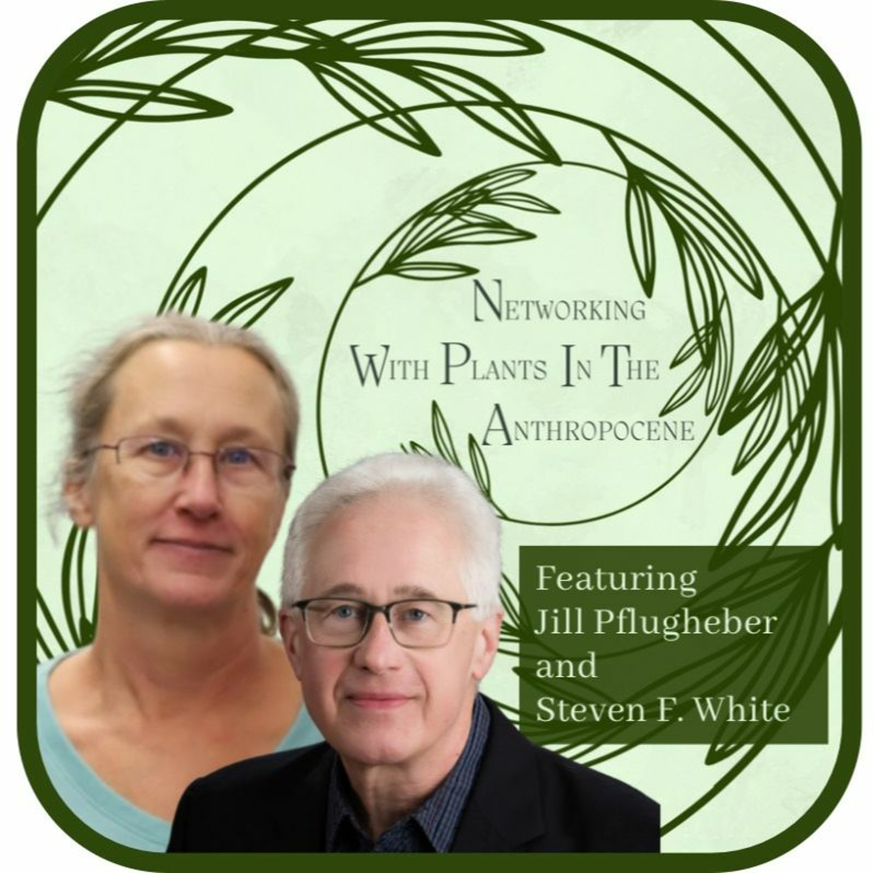 Podcast Networking with Plants in the Anthropocene