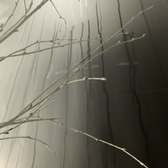 not usually x nosgov @mikeAl0ne