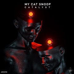 My Cat Snoop - Catalyst