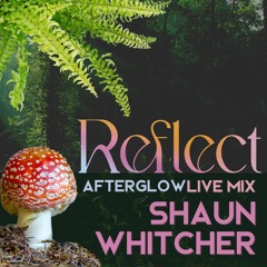 Shaun Whitcher: Live from Afterglow '22 4am