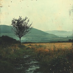 emotional dysregulation