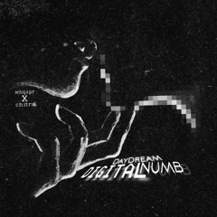 Chitra - Digital Numb DayDream (mixed by whqspr)