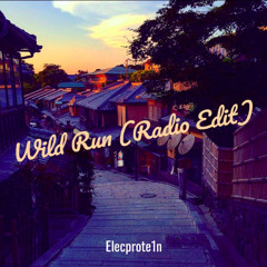 Wild Run (Radio Edit)