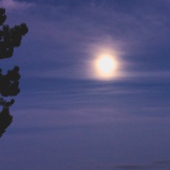 Harvest Moon
