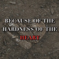 04/28/24 Because Of The Hardness Of The Heart -Pastor Wardwell Sunday AM