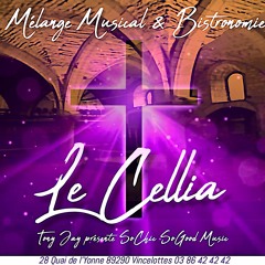 SoChic SoGood  Mix au Cellia #1