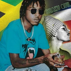 MIX REGGAE, LIL QUIL SHAKU QUIL 2023