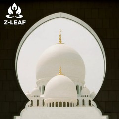 Z-LEAF - Oriental Universe