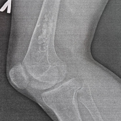 Такую (prod. tranquiltales, gokudo)