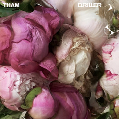 World of Rave (Radio-Edit)