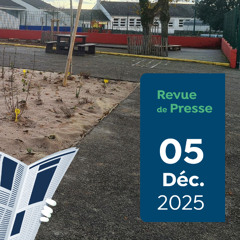 Revue de Presse Capitaine Carbone #186 - 05 décembre 2025