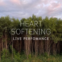 Heart softening (feat. Anastasia Zinina)- live performance