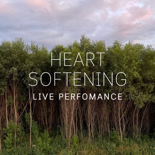 Heart softening (feat. Anastasiya Zinina) - Sound Healing (live)