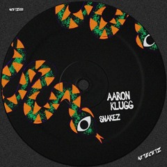 Aaron Klugg - Snakez (Out Now)