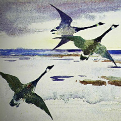 Migrations