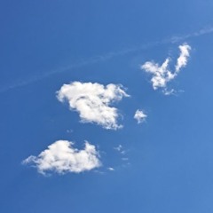 Oddwin Sample Challenge 6 (Lackluster)