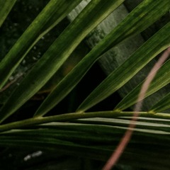 Liva K - You Can Dance Now VS Maz , Antdot, Sued Nunes - Povoada, Fler edit