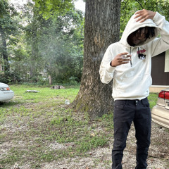 FREE SEAN feat. thelilgman prod. hoku