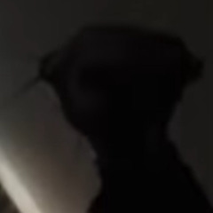 AUTOPSY (ft endless)