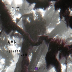 Artaxes - The Dark Forest [AVM Rework feat.Einida Eleven]