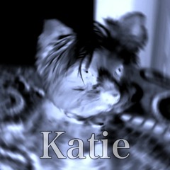 Katie [FREE DOWNLOAD]