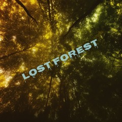 Lost Forest