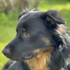 Money for nothing - Leon Mantei