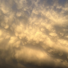 Subcudi Lamalture - A.D.H.D./Just What I Am (mash-flip)