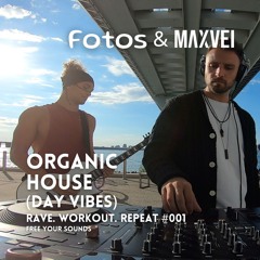 RWR 001 . Fotos & Maxvei @Samuel De Champlain bridge