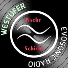 Westufer Nachtschicht (2021-02-14) / Stefanie Rauhuth - live im Broemmel-Keller in Raesfeld