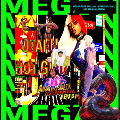 Megan Thee Stallion - Otaku Hot Girl (Ase Manual Remix)