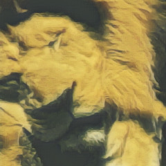 King