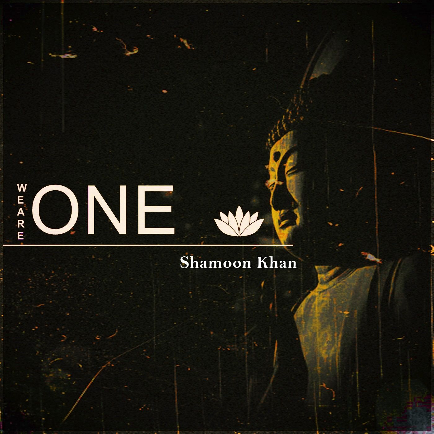 𝗪𝗲 𝗔𝗿𝗲 𝗢𝗻𝗲 - Interpretation by Shamoon Khan