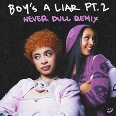 PinkPantheress x Ice Spice - Boy's a Liar Pt.2 (NEVER DULL REMIX)